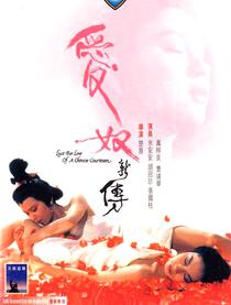 爱奴新传