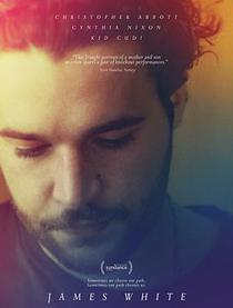 限制电影排行_10大限制级黄色暴力电影,每一部都难以超越经典大神