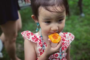 多妹穿公主裙熬制杏酱心灵手巧可爱满分