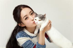 赵丽颖与喵星人同框嘟嘴求亲亲