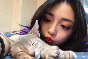 明星铲屎官：周洁琼嘴对嘴献吻爱猫