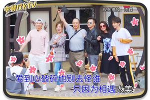 回忆杀！《中餐厅》上演还珠KTV金曲榜