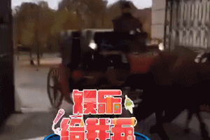 唐嫣罗晋婚礼马车乐队豪华胡歌帅气亮相