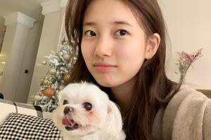 秀智被指发胖后素颜自拍 抱爱犬过圣诞