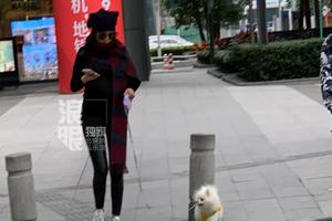 张馨予孕肚独家曝光 街边遛狗四肢纤细