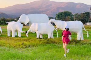 许晴下衣失踪与“大象”花式合影