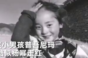 6岁小男孩撞脸杨幂 网友惊呼一模一样