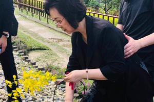 琼瑶花葬丈夫：终于让你诗意的长眠了