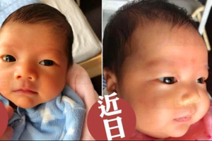 甘比晒与刘銮雄三胎女儿 宝宝小手胖胖头发很浓密