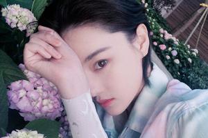 张馨予种绣球花记录生长过程