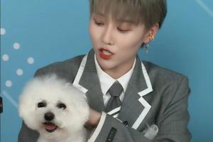 羡慕！刘雨昕偷亲Never满脸温柔