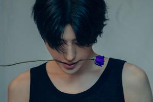 蔡徐坤黑色绸缎西装浪漫优雅 咬玫瑰花似贵公子