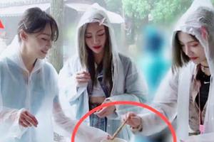 郑爽许佳琪谢可寅同框录综艺