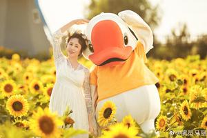 太甜了！沈腾马丽向日葵田浪漫合影曝光