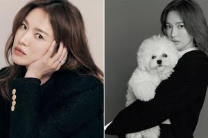 宋慧乔抱爱犬登封面气质清雅冻龄如初