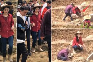赵丽颖新剧干农活路透曝光 锄地动作熟练