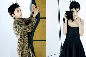 Angelababy抛弃大破浪尝试短发发型