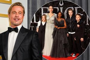 华商头条|皮特朱莉离婚官司首次判决 皮特获孩子共同扶养权