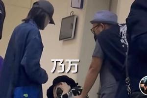 乃万坐轮椅现身医院妇产科 蜷缩身体难忍病痛