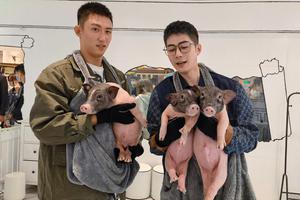 陈学冬黄景瑜抱猪合照 俩人表情丰富场面搞笑