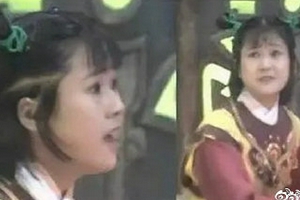 许晴演过86版《西游记》里的炼丹童子