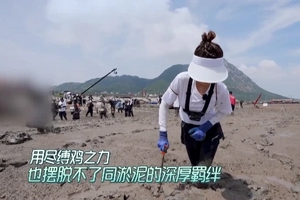 李沁赶海捉螃蟹深陷泥潭寸步难行