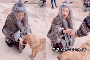 刘晓庆野外拍戏头发凌乱 蹲地上喂狗吃牛肉干