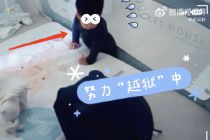 安以轩晒儿子花式翻床日常