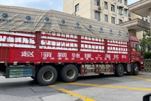 赵丽颖向上海捐赠抗疫物资