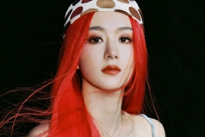 赵丽颖女团风红发造型大片释出