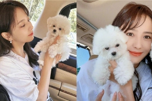 佟丽娅分享与小狗亲密贴贴合照
