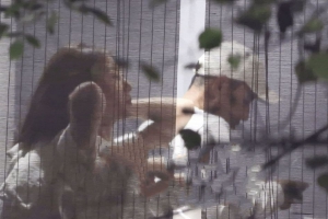 张继科带女友和朋友聚餐 两人穿白上衣情侣氛围感