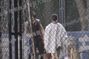 许魏洲携妻子现身球场玩飞盘