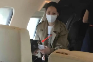 网友坐飞机疑似偶遇郭碧婷