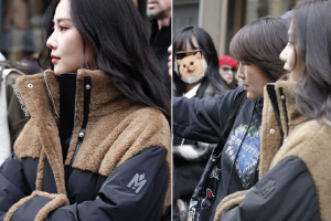 网友米兰偶遇刘诗诗