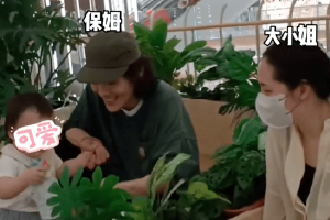 向佐自称保姆叫郭碧婷大小姐