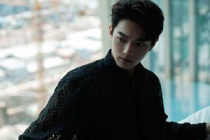 网传许凯赵露思出演《珠帘玉幕》 男方对接号打假封面图