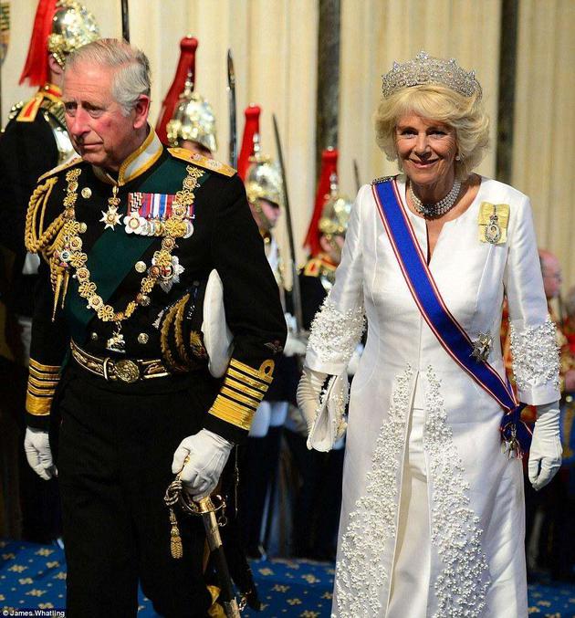 英国女王酒后吐真言 怒骂查尔斯王储妻子“恶人”
