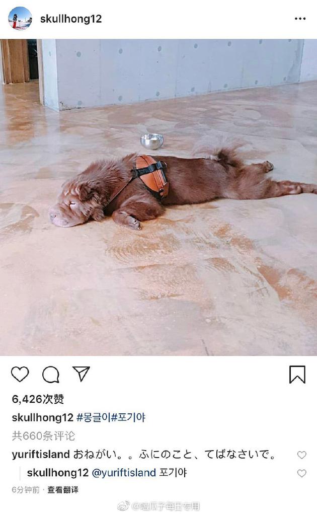 李洪基回应粉丝留言
