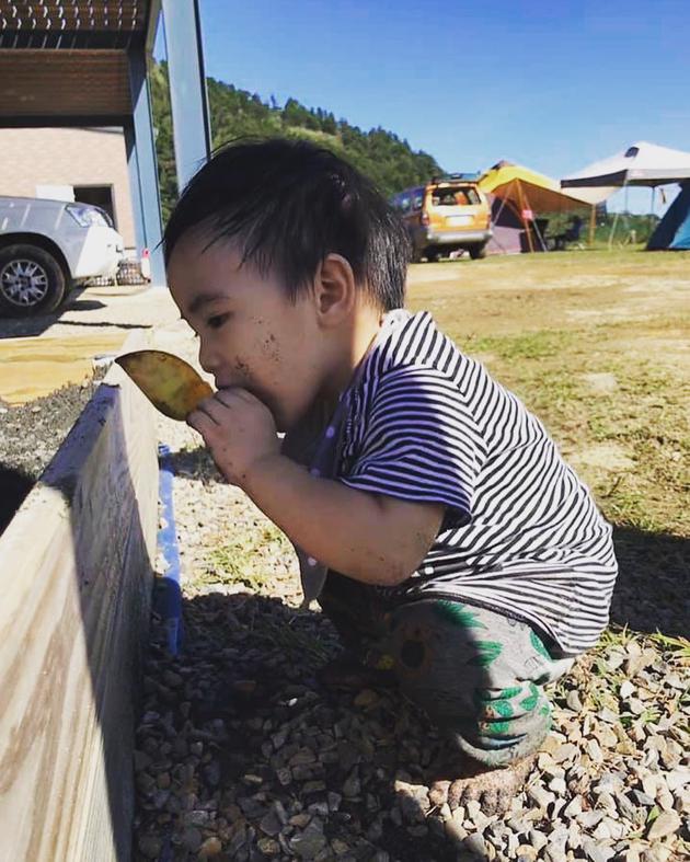 张震岳带儿子野营