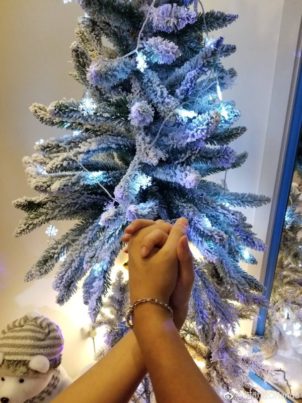 前年圣诞晒牵手照片公开恋情。