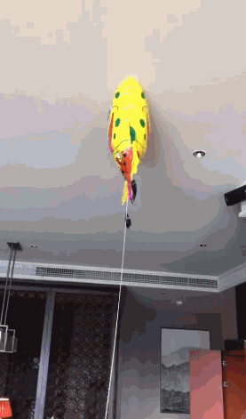 海绵宝宝气球和小黄鸭气球
