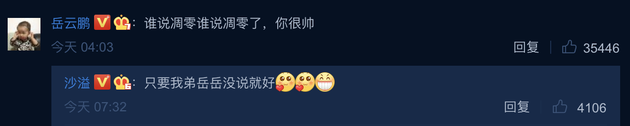 岳雲鵬評論