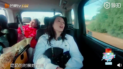 谢娜章子怡自曝女儿昵称由来 醒醒跳跳俏俏来历大