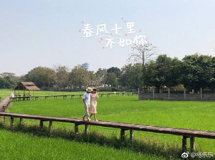 汪涵杨乐乐