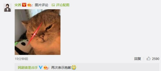 宋茜回应