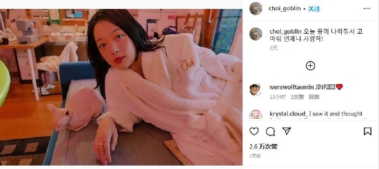 金宣雅贴出雪莉生前与猫咪的合照,感性写下:“谢谢你今天到我的梦里来,无论何时都爱着你。”