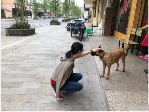 宣萱半蹲抚摸小狗