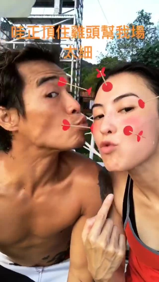 豪龙与柏芝一向姐弟情深。