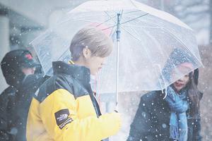 鹿晗撑伞唯美梦幻 画面精致养眼